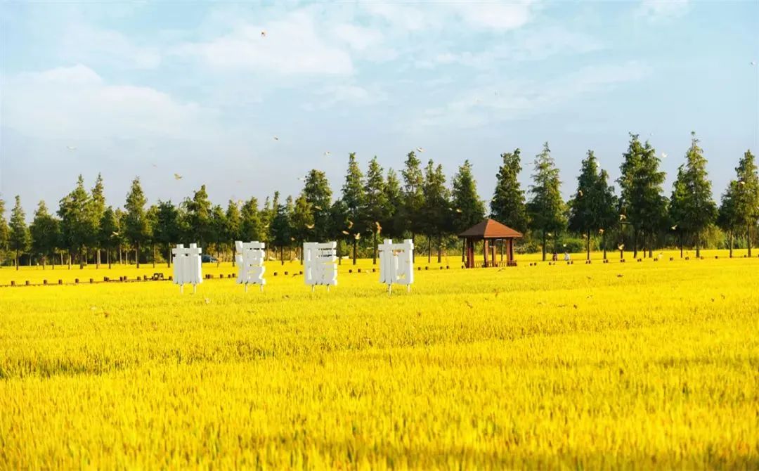 盘点2023典型文旅投资：哪些标的最受资本青睐？(图18)