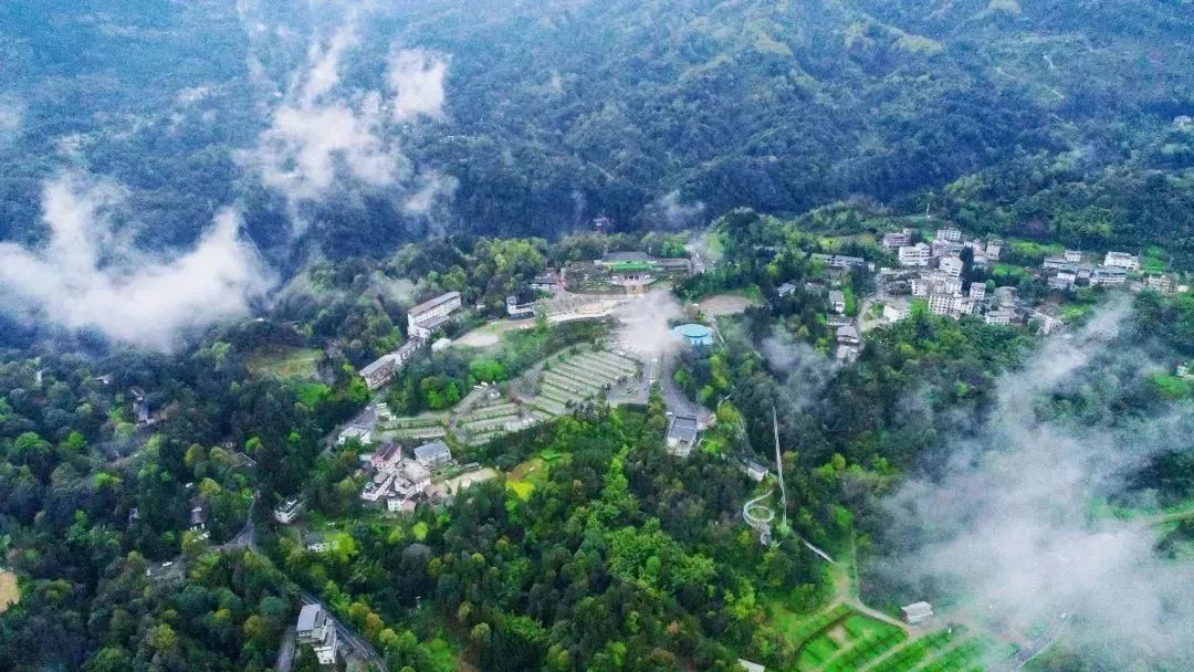 盘点2023典型文旅投资：哪些标的最受资本青睐？(图12)