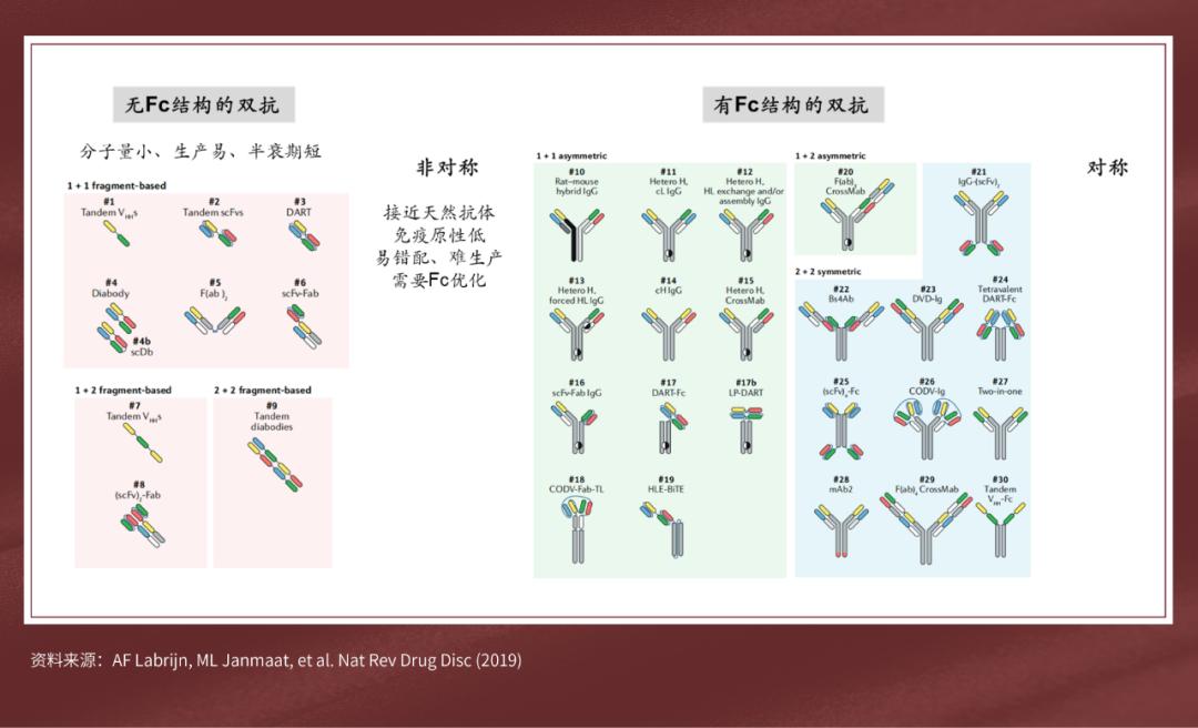 双特异性抗体赛道梳理(图2)