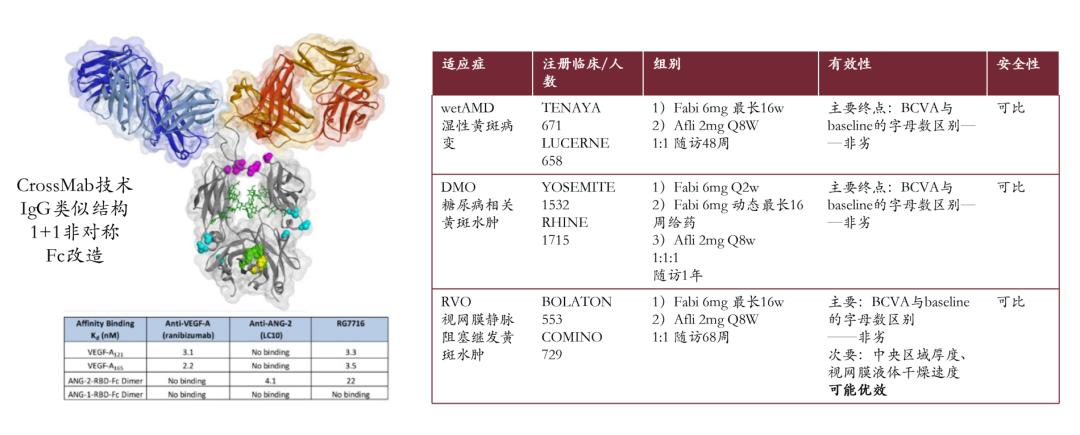 双特异性抗体赛道梳理(图11)