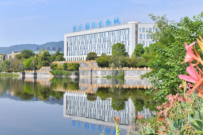 跨越千里：渝港两地生物医药共赴山河