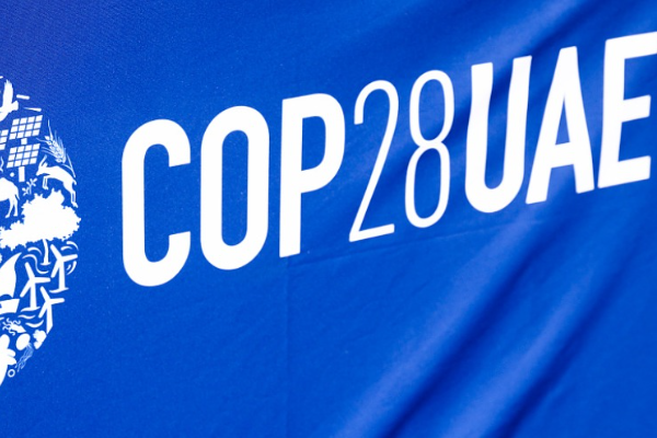 36碳直击COP28 | 碳阻迹把AI技术融入碳咨询；能链智电发布碳普惠白皮书；满帮聚焦“绿色物流+”-36氪
