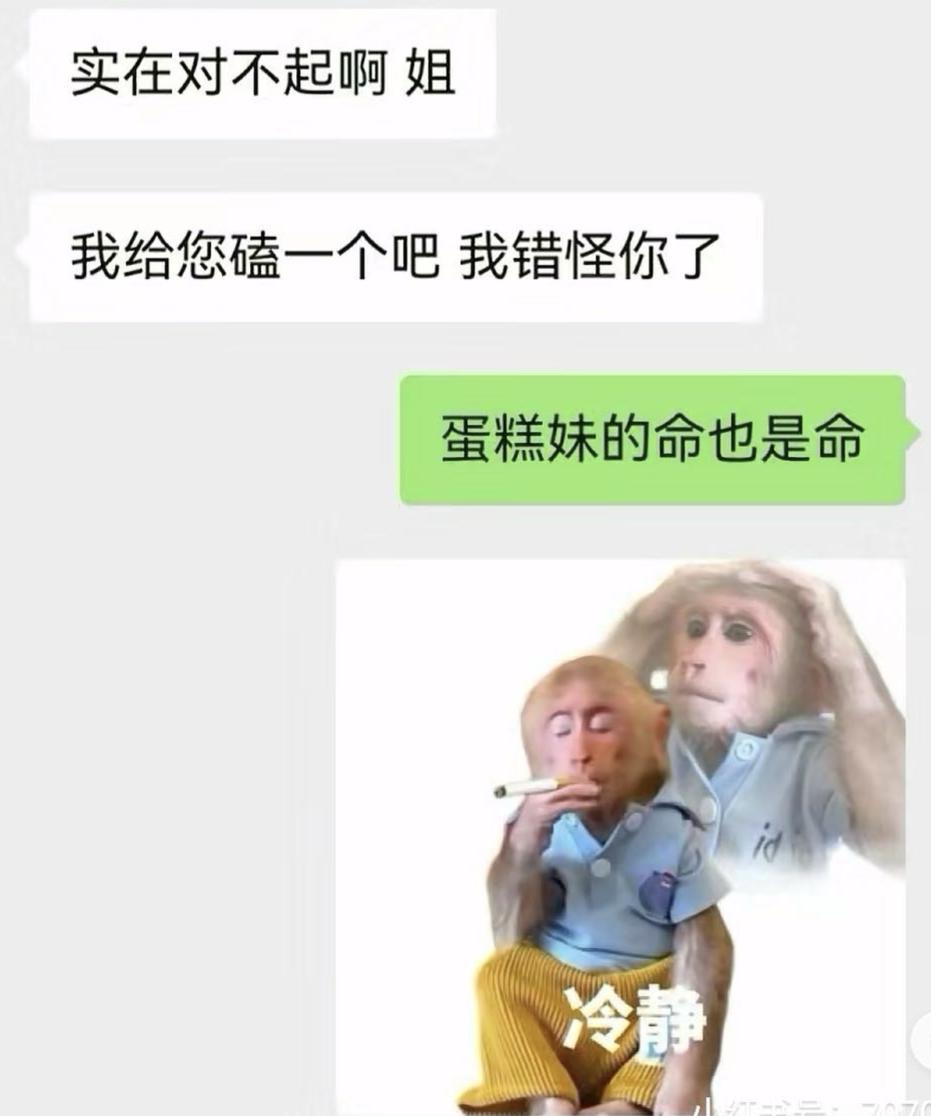 不想当人的年轻人们，把猴子“吗喽”捧上了神坛-36氪