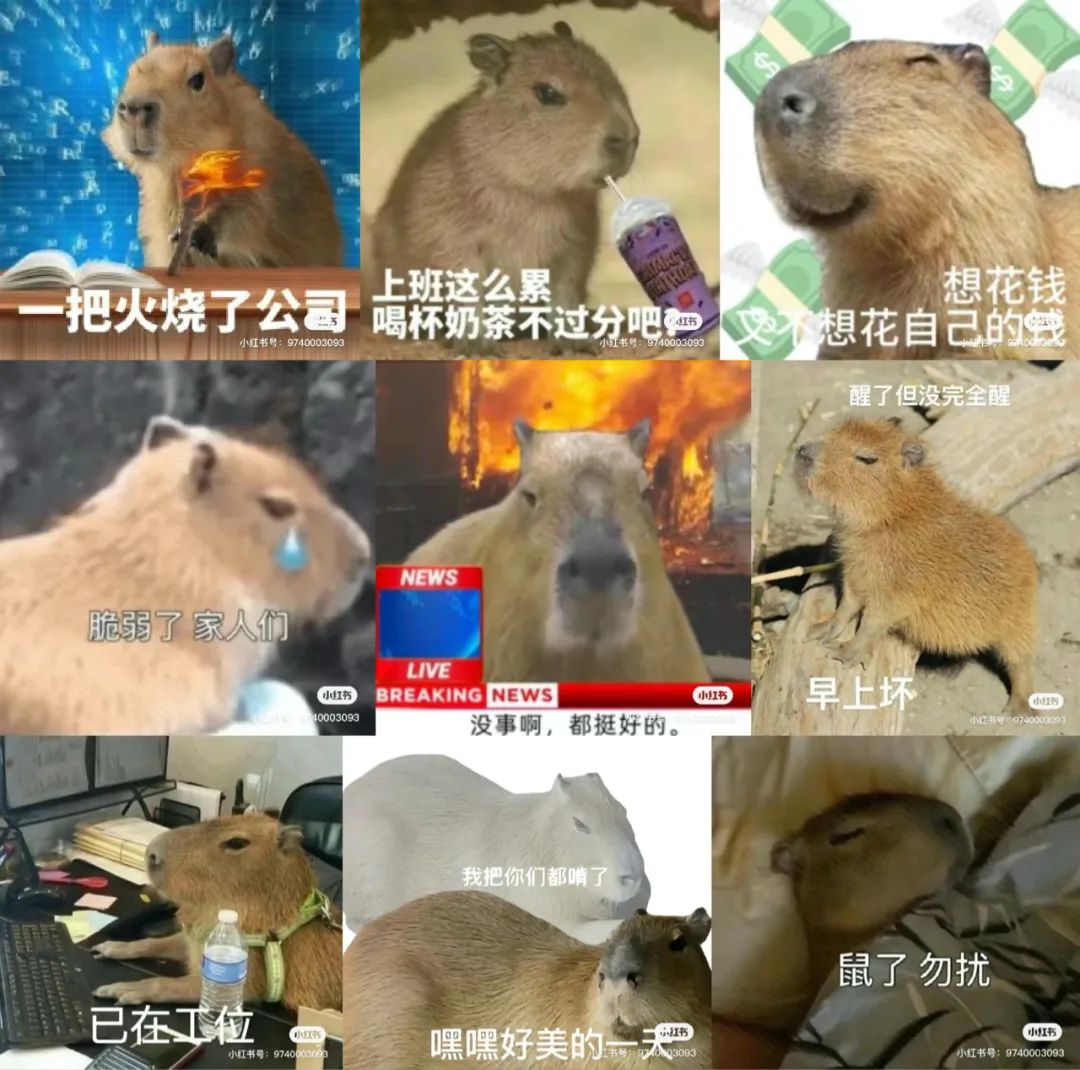 图文等二创形式了,相关的付费意愿与日俱增,以"卡皮巴拉"为代表的周边