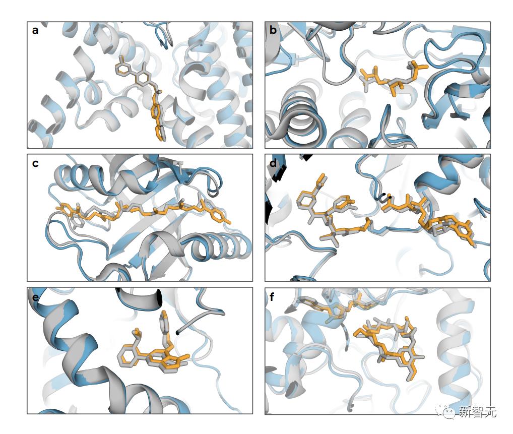 GPT-5不会真正突破，24年AGI不会实现，全网AI大佬24年最全预测