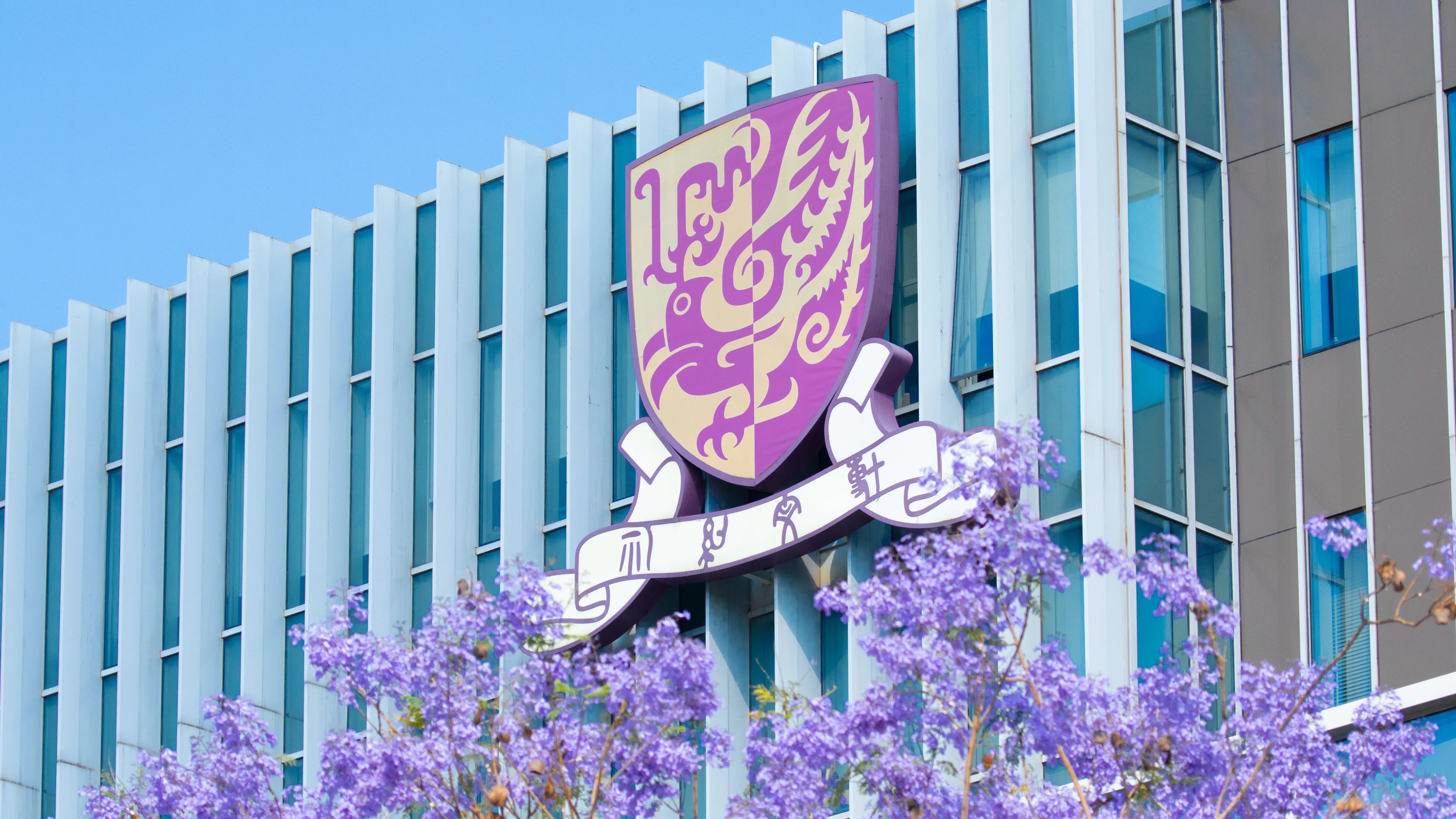 香港中文大学(深圳)管理学理学硕士mbm__热点专题_创投_房产_政策