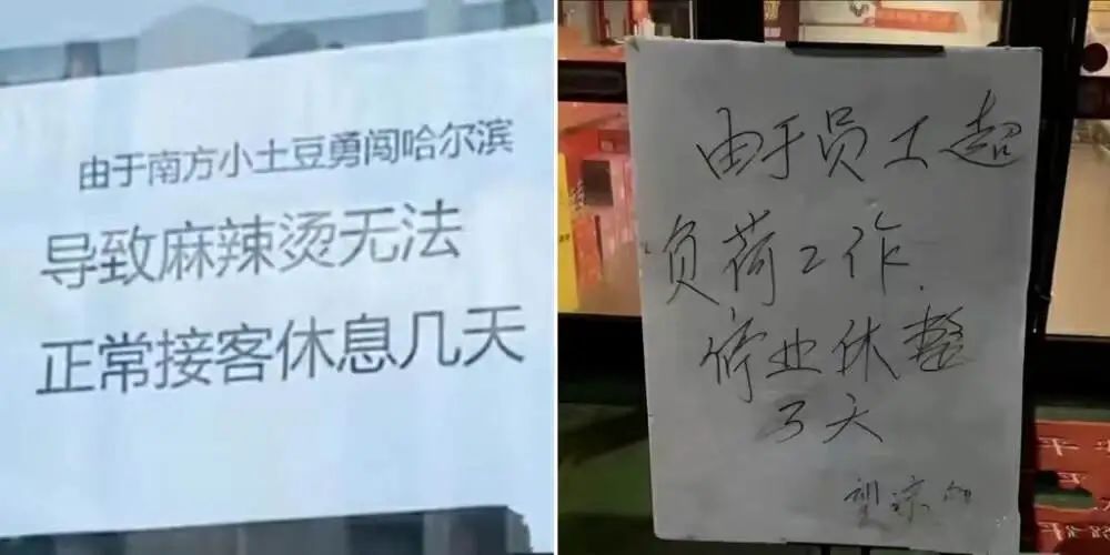 哈尔滨走红，属于东北餐饮的时代来了？