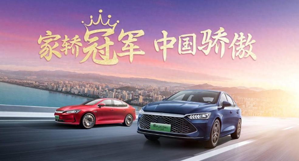 比亚迪是怎么逆袭特斯拉的？土办法打败硅谷钢铁侠(图6)