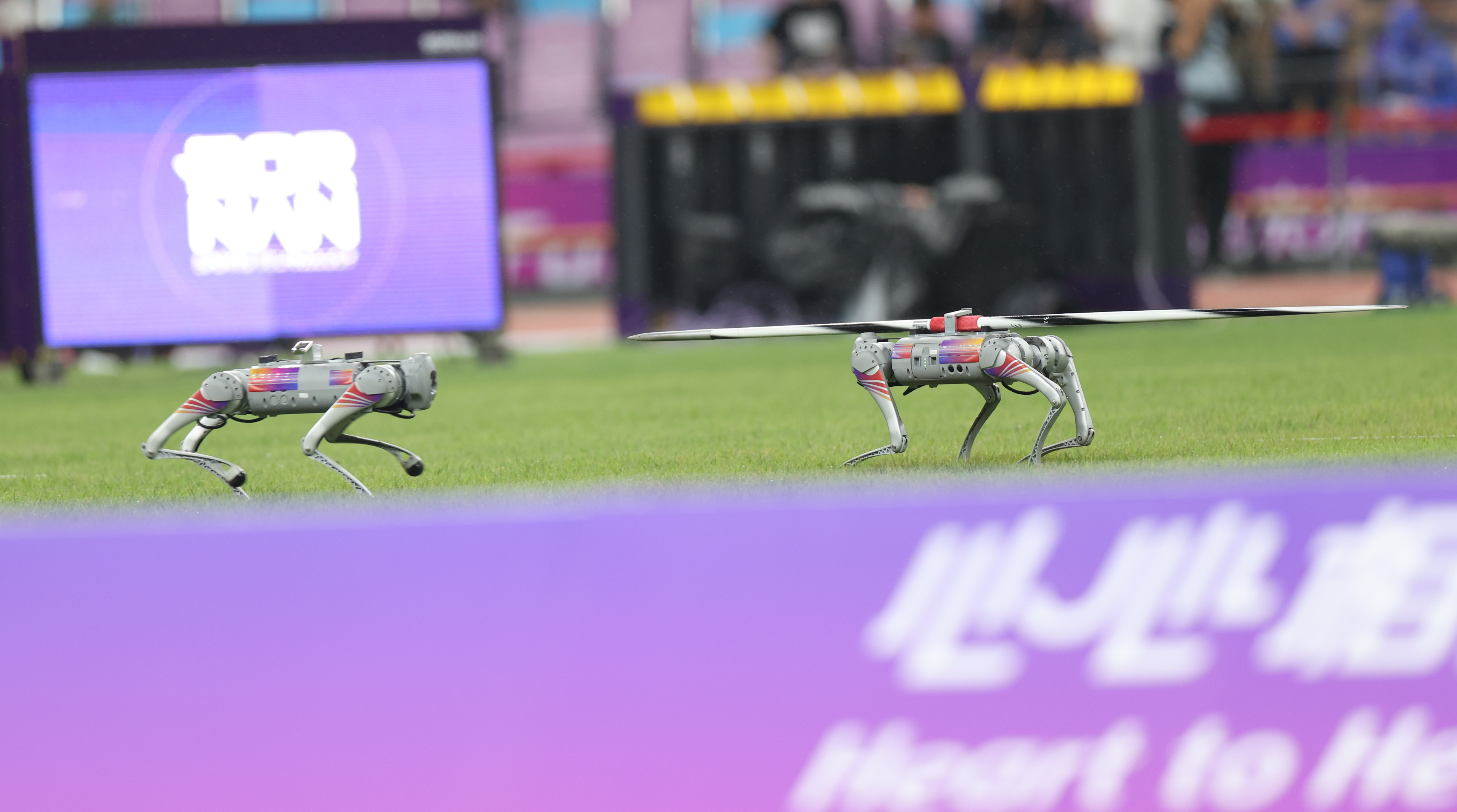 四足歩行ロボット販売で世界トップ、中国「Unitree」が200億円