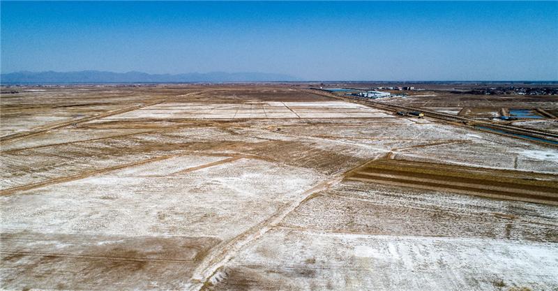 中国盐碱地分布在西北,东北,华北及滨海地区在内的17个省区,盐碱荒地