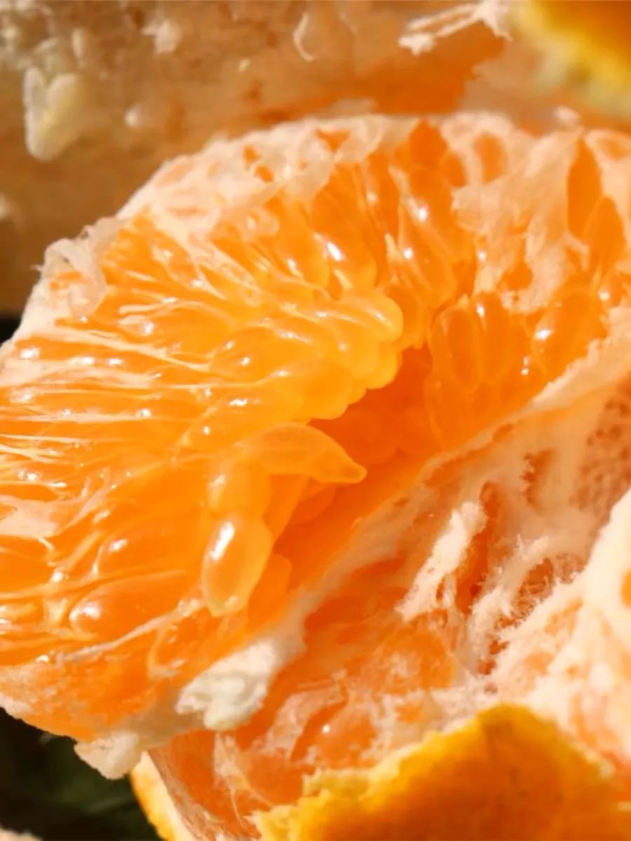 今年春天的热搜,耙耙柑应得的-36氪