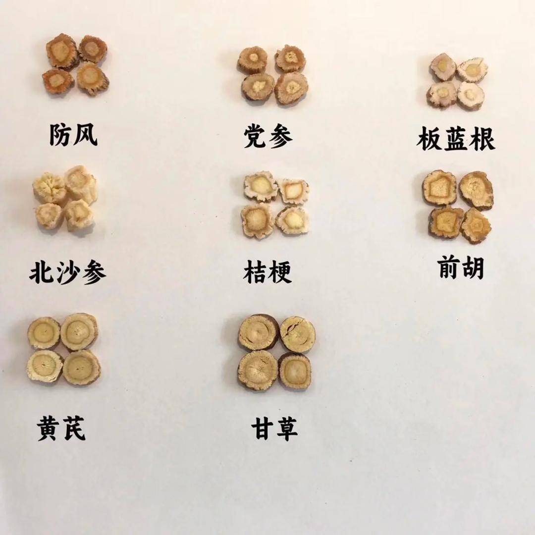 中药代茶饮喝了不比不喝强