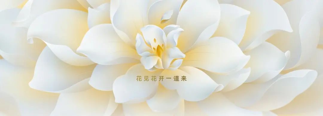 能让果粉排队12个小时，Apple Store有何魔力？(图2)