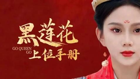 九歌火热短剧，免费观看的全新体验，九歌热播短剧，免费畅享全新观影体验