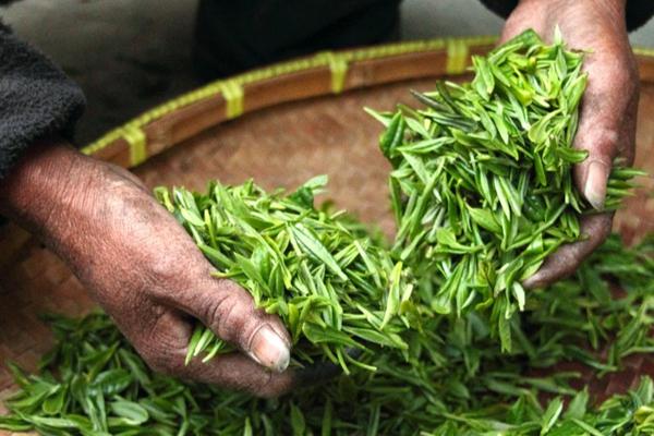 氪星晚报｜喜茶联合中国茶叶流通协会、飞猪发布6条新茶饮文旅线路攻略；支付宝全新AI产品开启灰测，支持挂号订票点外卖等30多项办事服务；B站发布国内首个免费数字分身定制工具“必剪Studio”