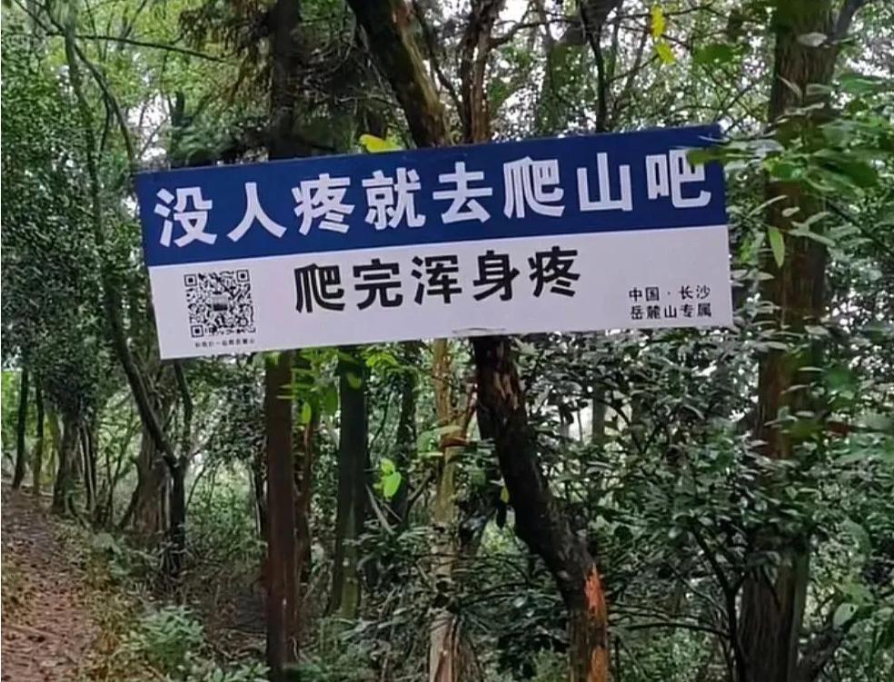 花钱受罪,暴赚百亿,中国顶流"运动",越虐越火