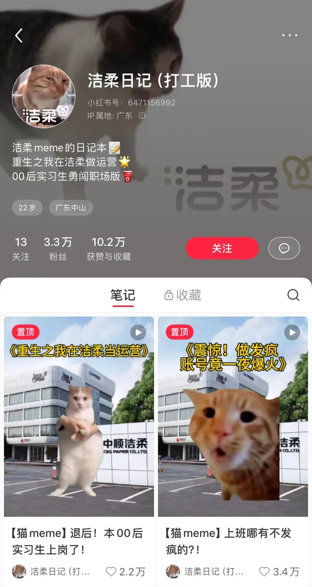 猫meme走红，赛博时代的“情绪消化剂”-36氪