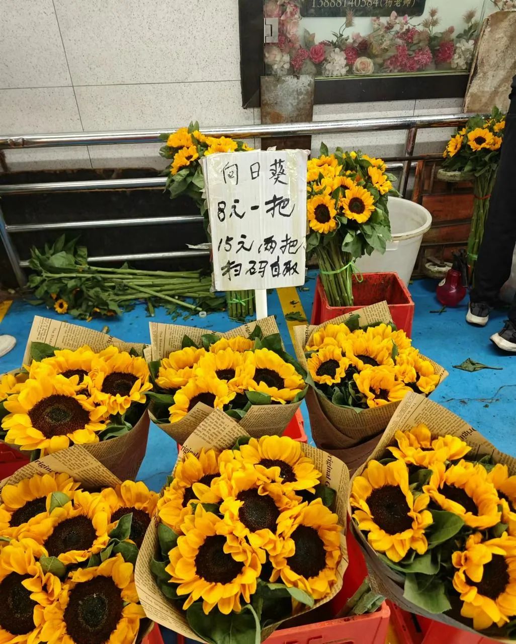 下午5点40分,李彬气定神闲地嚼着槟榔,等待他想拍的鲜花批次.