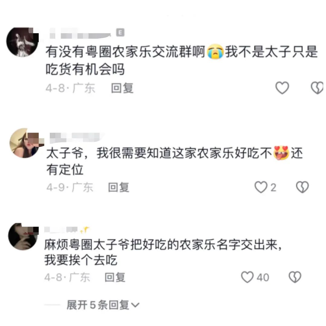 前不久,东莞的外籍美食博主avrils,发布了一条关联"粤圈太子爷"话题的