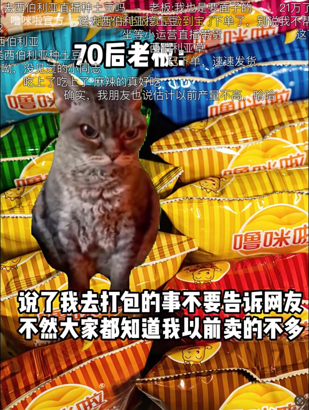 刷屏的猫meme营销：中小企业的挣扎与抵抗(图2)