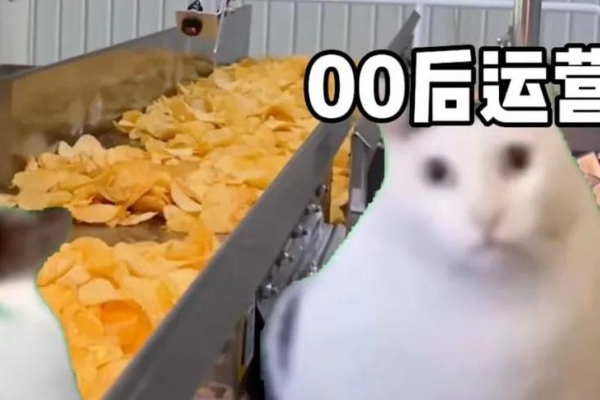 刷屏的猫meme营销：中小企业的挣扎与抵抗-36氪