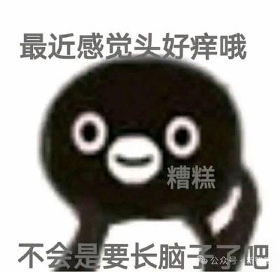 「吗喽」在想啥？AI读心术精准重建猕猴大脑图像，网友：我们成三体人了