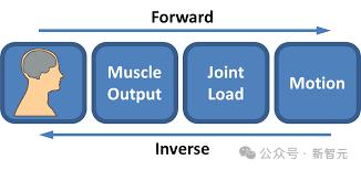哈佛DeepMind开辟「虚拟神经科学」新领域，在世界模拟器驯养「赛博老鼠」