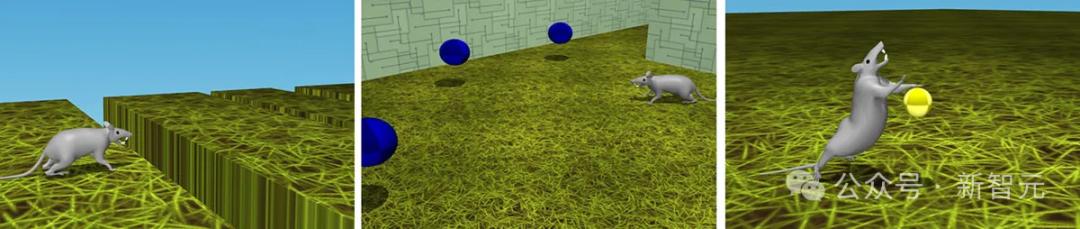 哈佛DeepMind开辟「虚拟神经科学」新领域，在世界模拟器驯养「赛博老鼠」