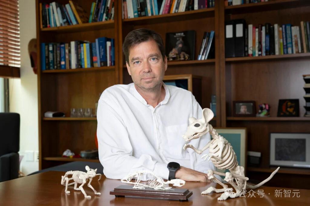 哈佛DeepMind开辟「虚拟神经科学」新领域，在世界模拟器驯养「赛博老鼠」