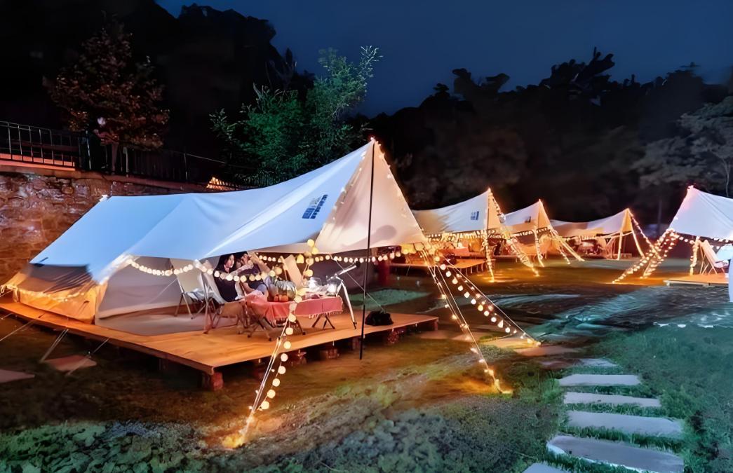 露营成顶流 我却成冤种