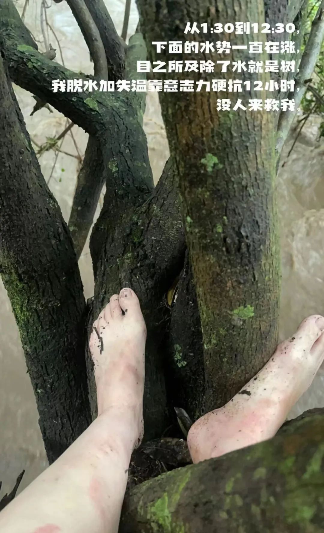 五星级"洪水游",我再也不想体验了