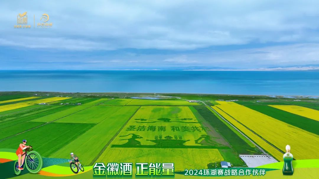 跨越山海，行者无疆丨金徽酒携手2024环湖赛圆满成功精彩！