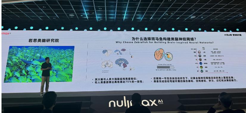 脑科学融合端到端，自动驾驶迎来Next Level？