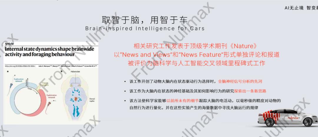 脑科学融合端到端，自动驾驶迎来Next Level？