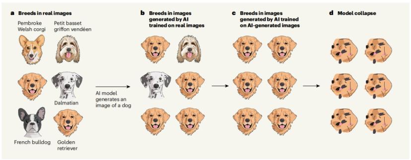 Nature最新封面：AI 训练 AI？也许越来越笨