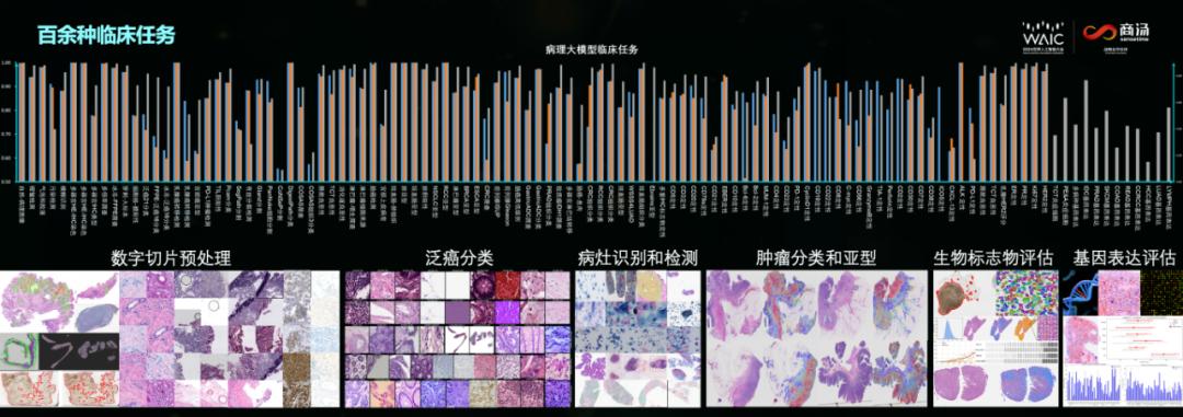 AI医疗来「敲门」，是江湖郎中还是华佗再世？