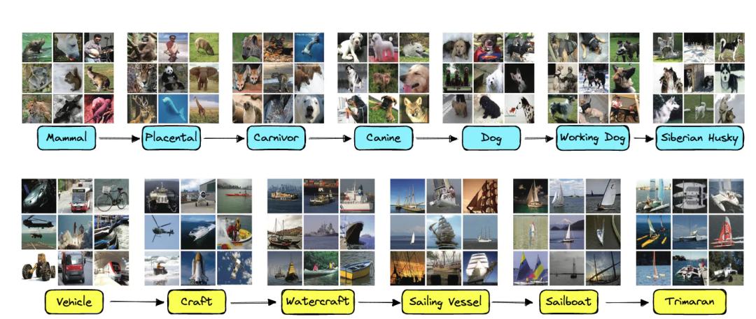 科学家Yann LeCun：聊聊大模型如何思考与深度学习