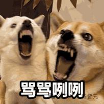 Nature曝惊人内幕：论文被天价卖出喂AI，出版商狂赚上亿，作者0收入