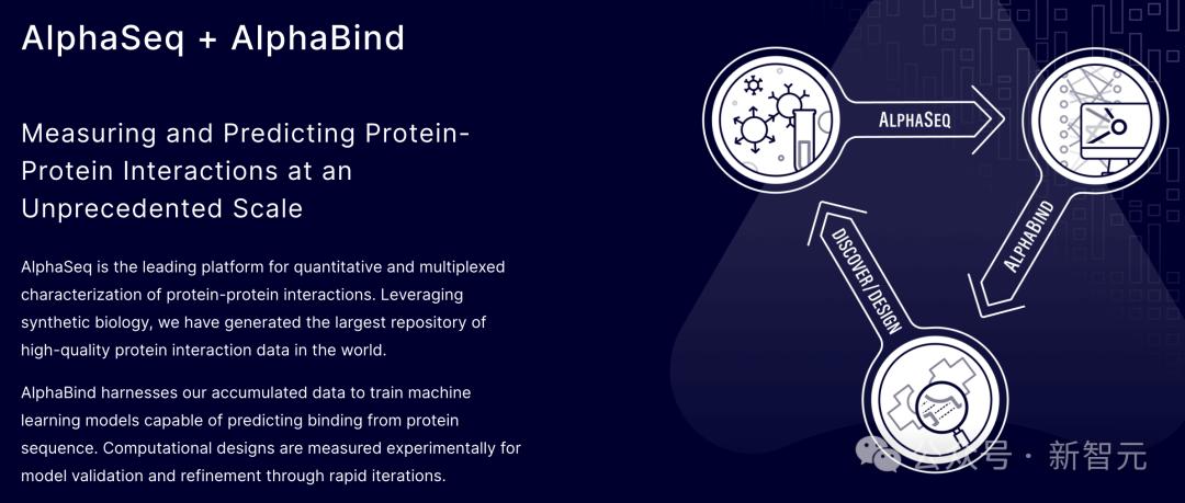 打破AlphaFold大模型局限，世界最大蛋白质相互作用数据集AlphaSeq横空出世