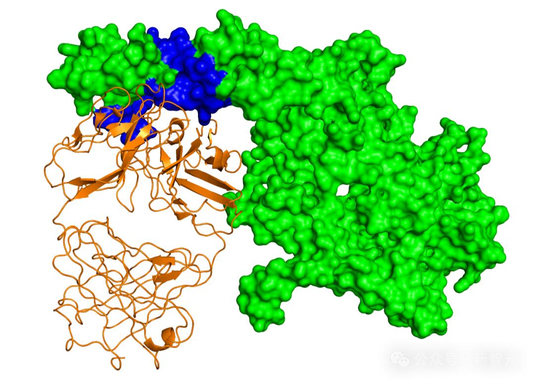 打破AlphaFold大模型局限，世界最大蛋白质相互作用数据集AlphaSeq横空出世