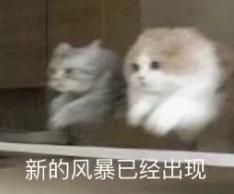 再融近5亿，清华系AI创业新势力，成最吸金“算力运营商”
