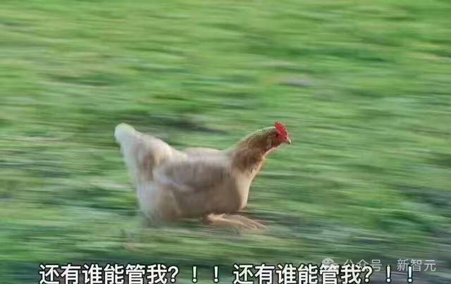 力算科技_力算龙头股_算力