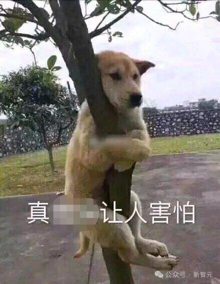 力算龙头股_力算科技_算力