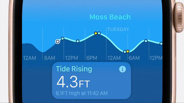 苹果史上第一台AI手机诞生，iPhone 16屠版热搜，中文版明年登场，3nm芯片封神