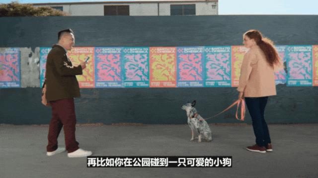 苹果史上第一台AI手机诞生，iPhone 16屠版热搜，中文版明年登场，3nm芯片封神