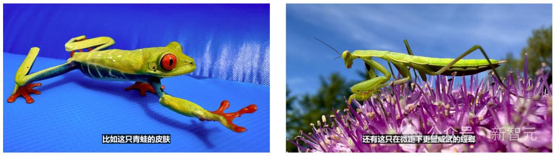 苹果史上第一台AI手机诞生，iPhone 16屠版热搜，中文版明年登场，3nm芯片封神