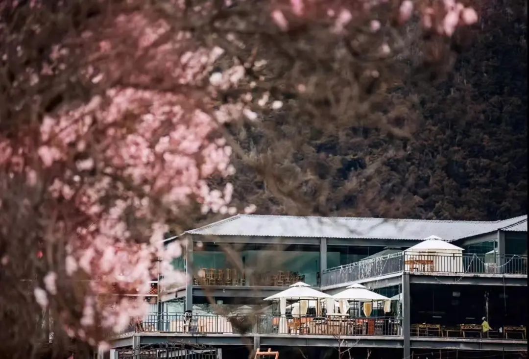 年轻人涌向西藏，不止为了旅游_https://www.izongheng.net_快讯_第3张