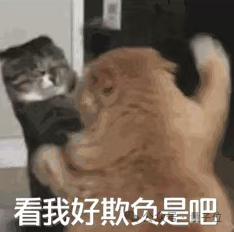 马斯克新官上任再起诉OpenAI，新证据称Ilya七年前就不放心奥特曼了