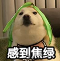 LLM也会和人类一样焦虑，还会产生更多偏见，图宾根大学最新研究