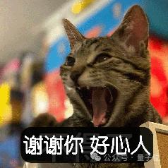 o1满血版最鲜测，这¥1500花得值吗？